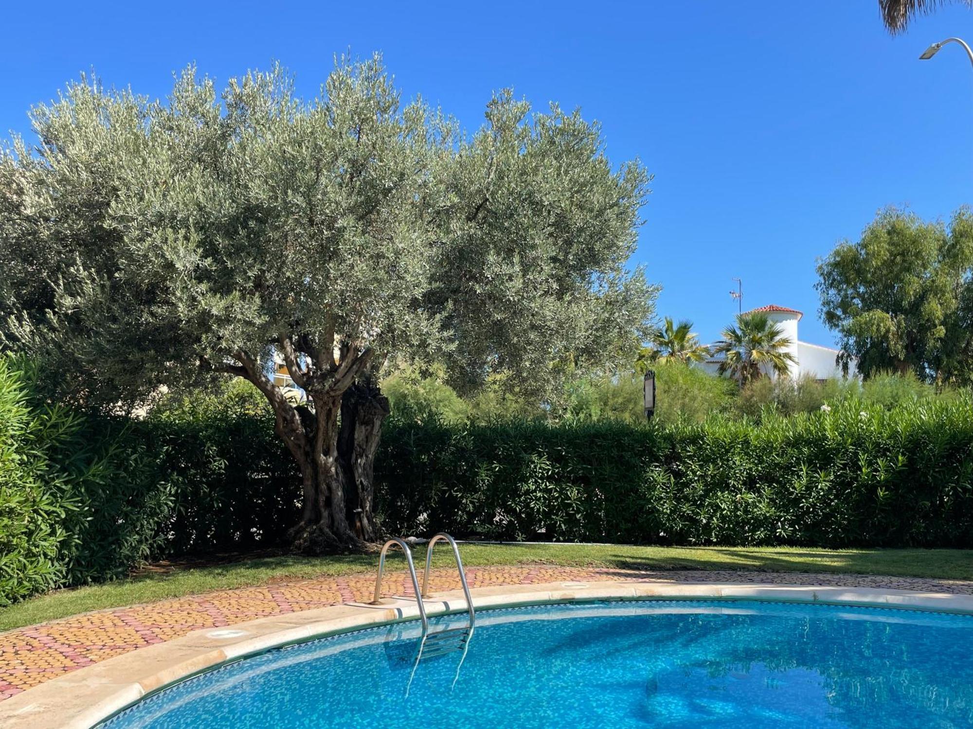Marina Apartment Dénia